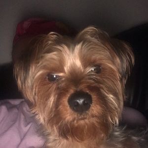 Meet your Posher, Jasmine